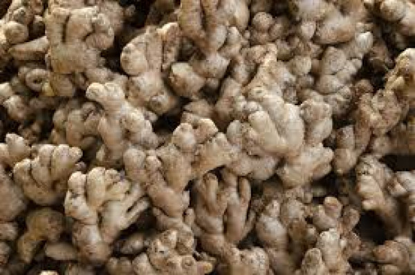 Image of Ginger (अदरक)