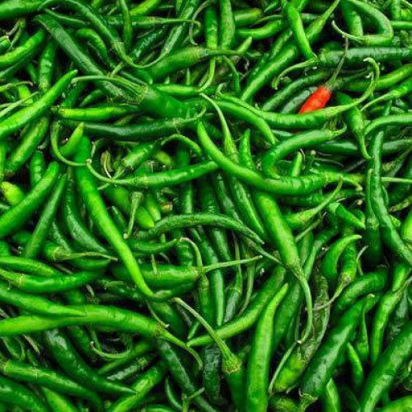 Image of G4 Green Chilly (G4 हरी मिर्च)