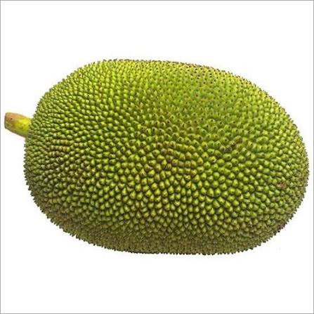 Jackfruit (कटहल)