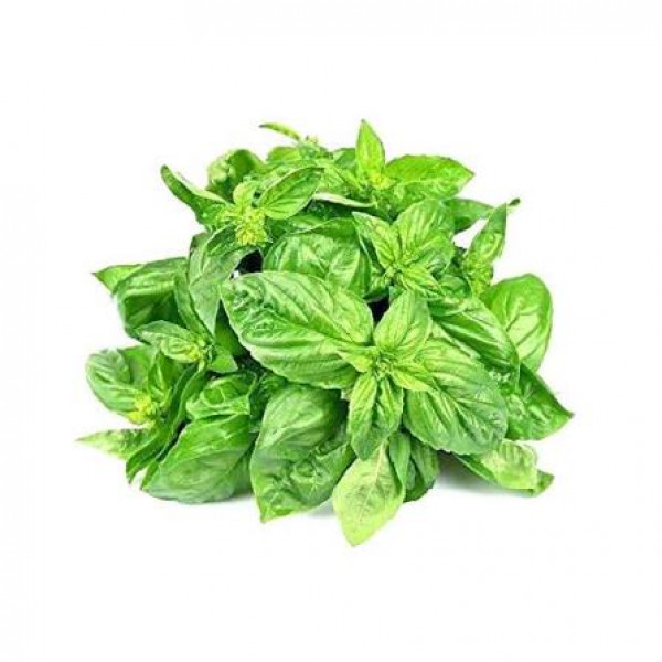 Image of BASIL