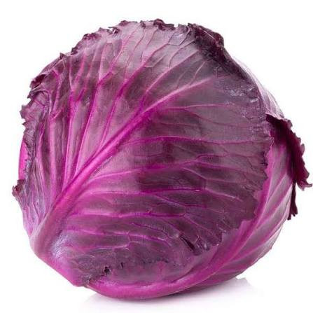CABBAGE RED