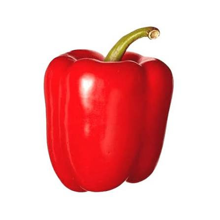 CAPSICUM RED
