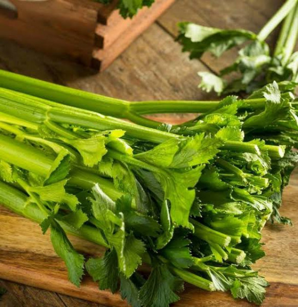 Image of CELERY