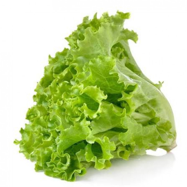 Image of LETTUCE