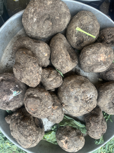 Image of Jamikand Yam (जमीकंद)