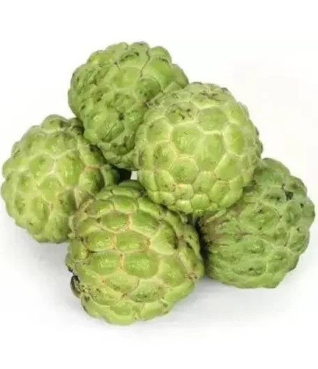 Custard Apple (सीताफल)