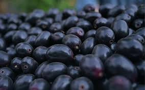 Jamun (जामुन)