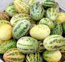 Kachari