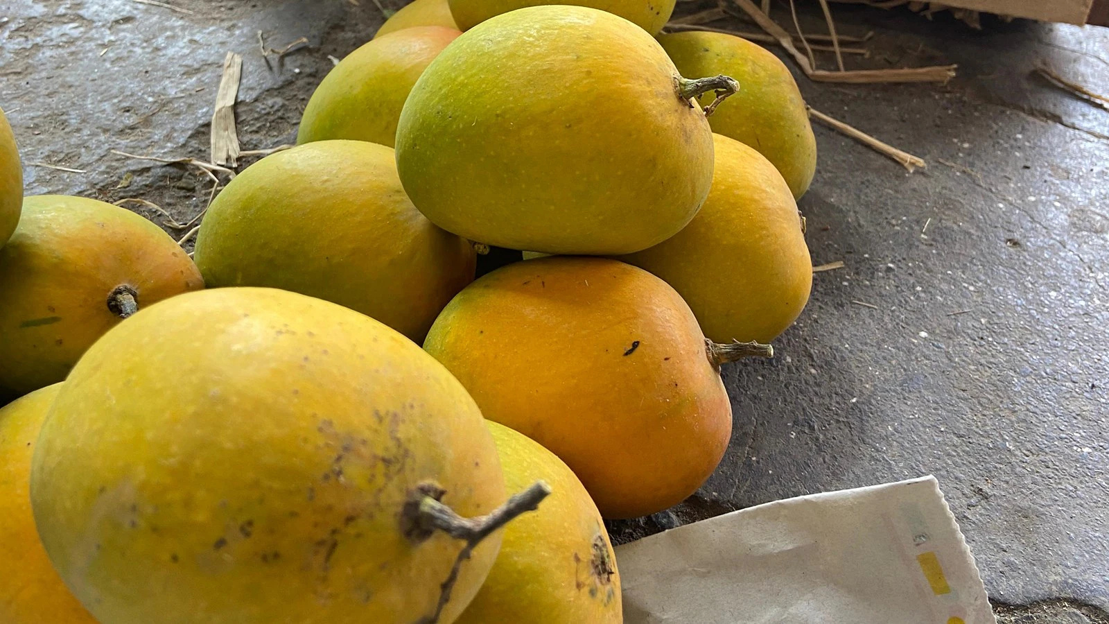Mango Hapus