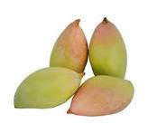 Mango Totapuri