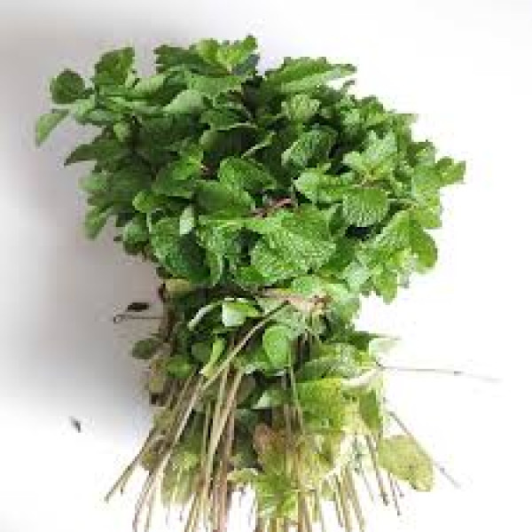 Image of Mint