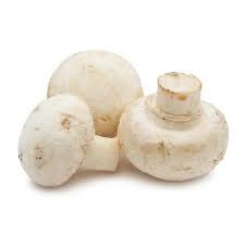Mushroom (मशरूम)