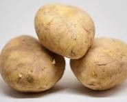 Potato