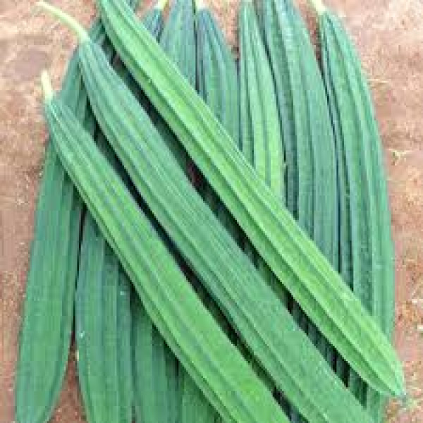Image of Ridge Gourd (तोरई)