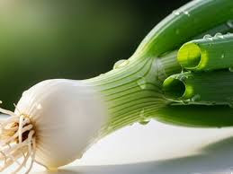 Spring Onion (हरा प्याज़)