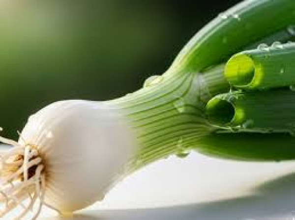 Image of Spring Onion (हरा प्याज़)
