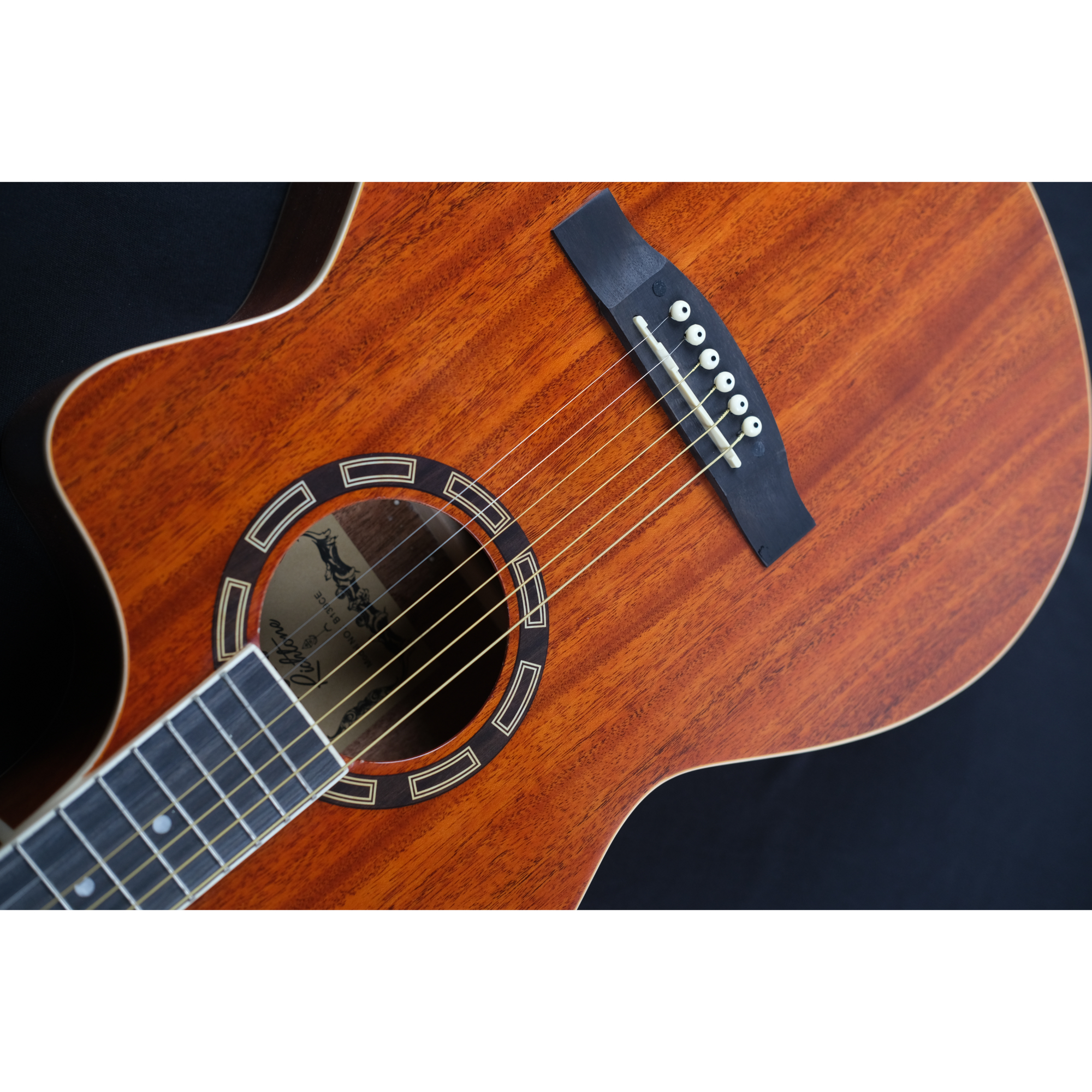 Richtone B139CE Natural glossy JF style cutaway Acoustic guitar