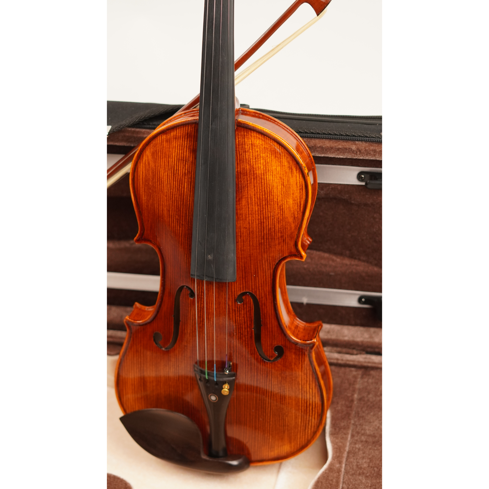 Strydom All solid Violin - VNF301E
