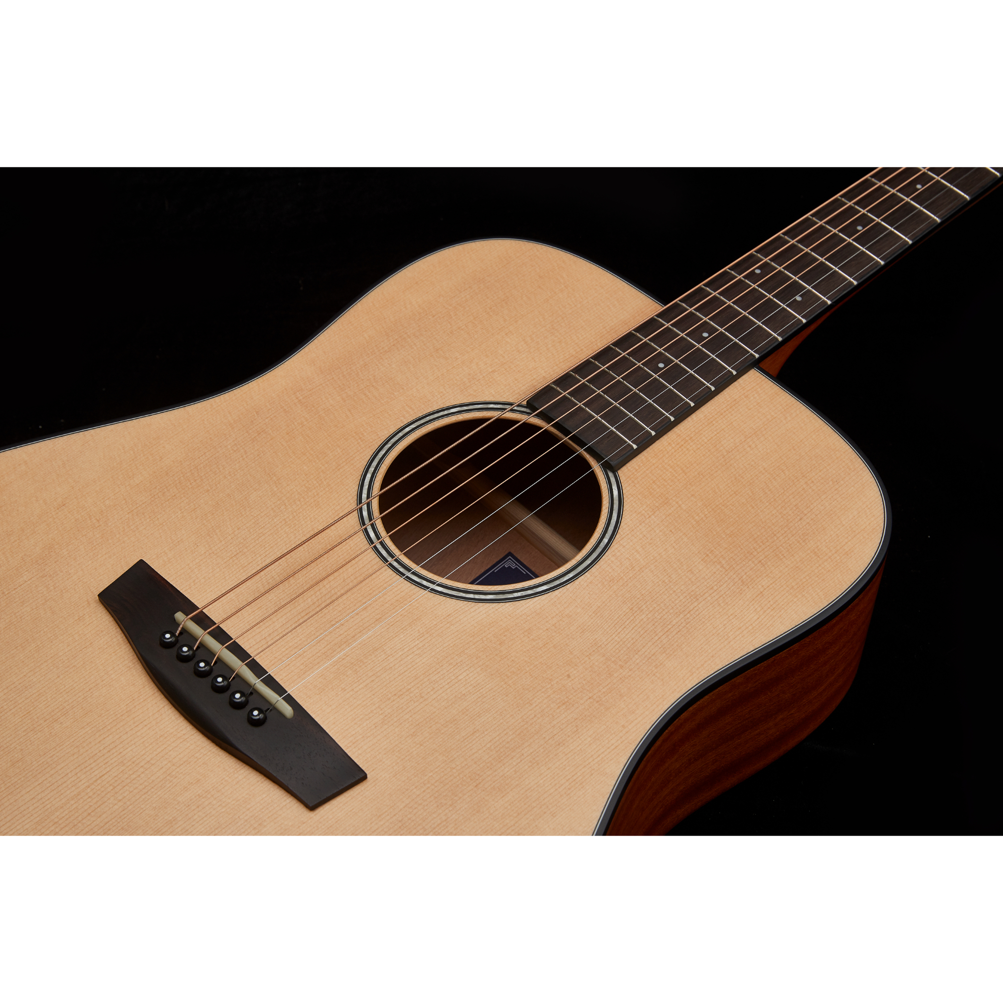 Hex P100M - HIVE series