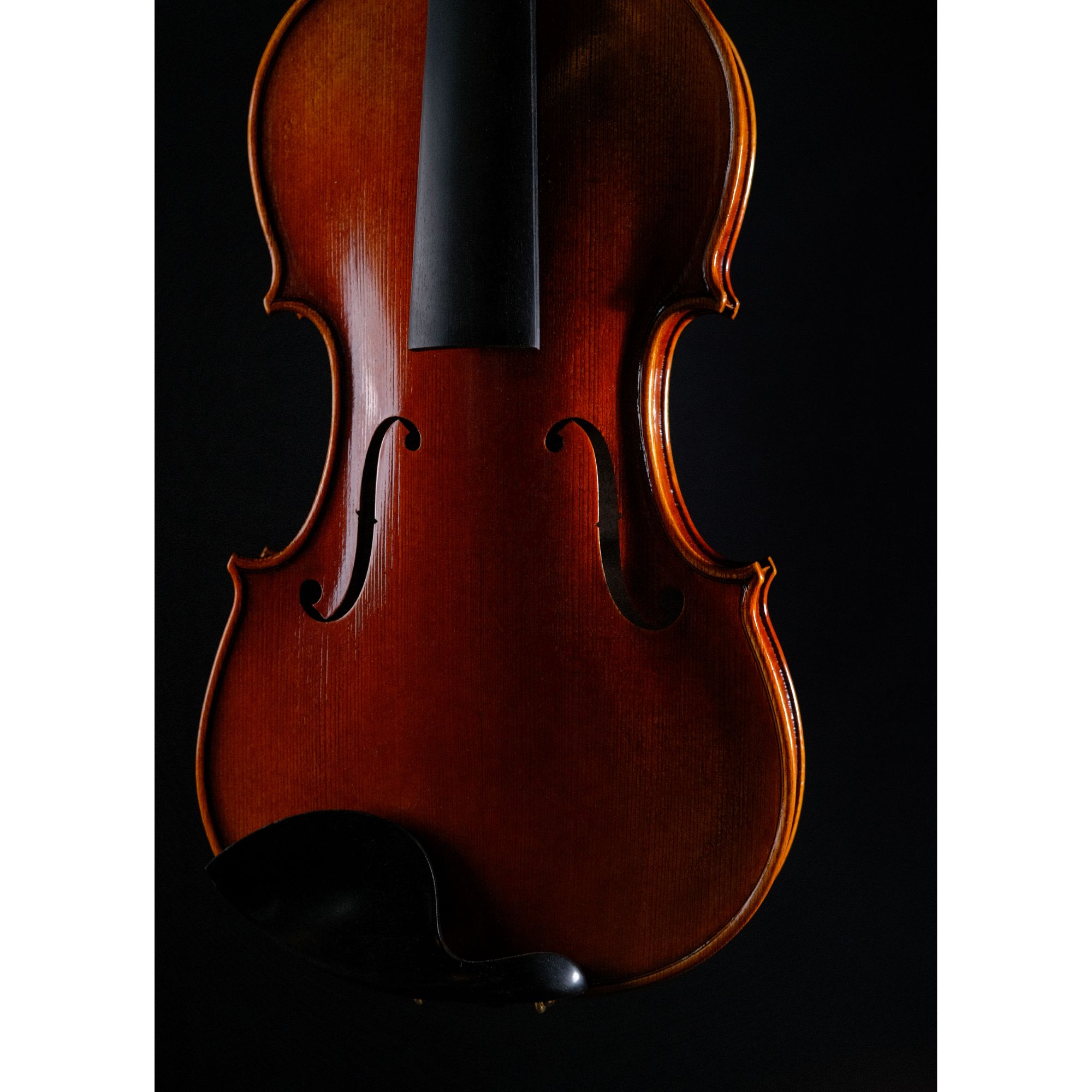 Strydom All solid Violin - H41