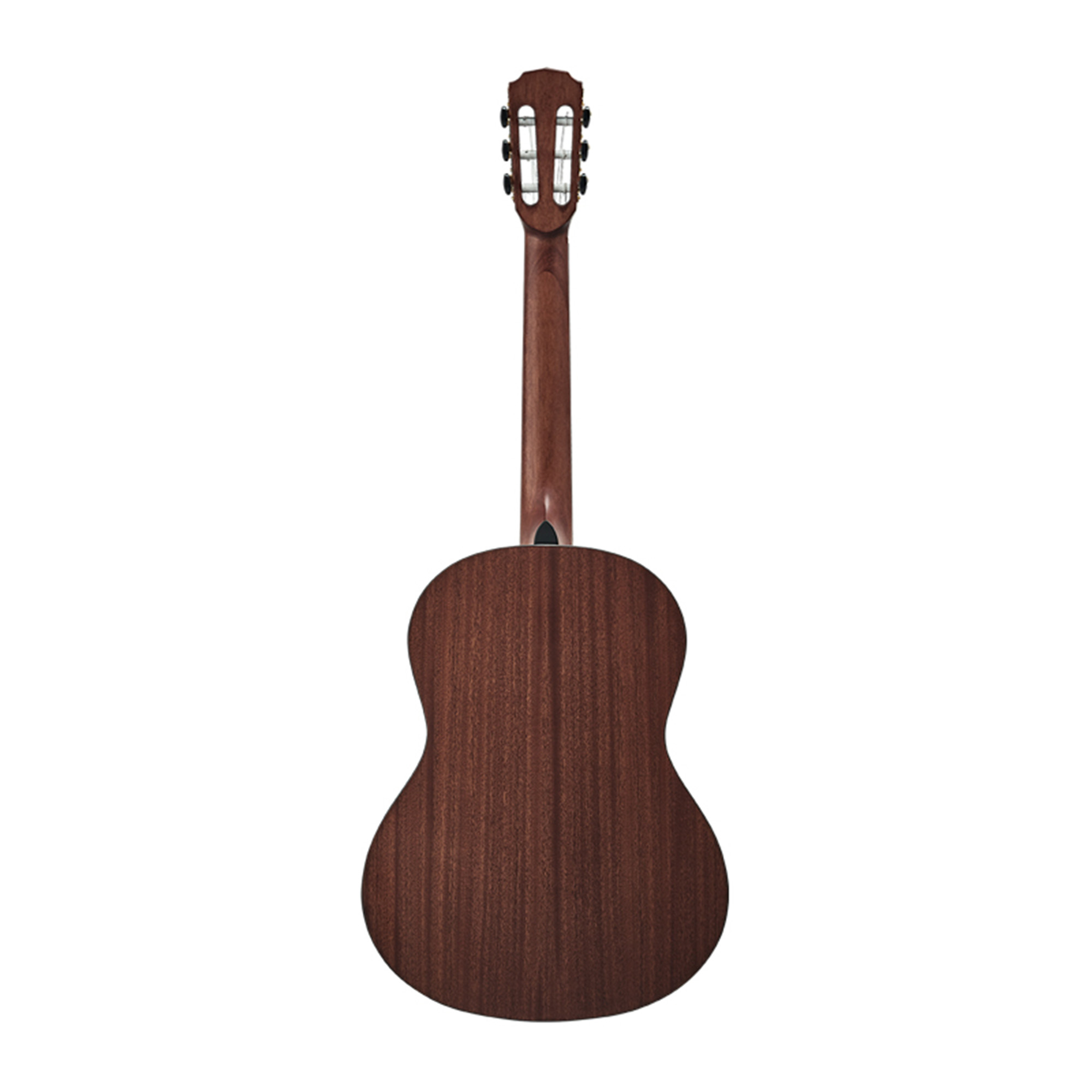 HEX C100M 39 CLASSICAL Guitar POLLEN SERIES