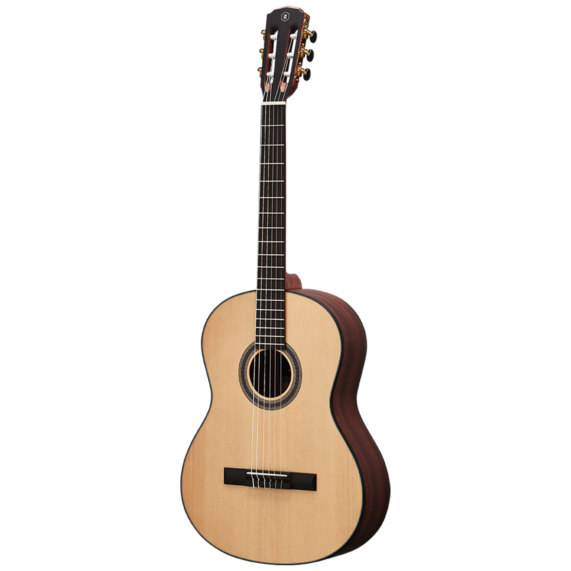 HEX C100M 39 CLASSICAL Guitar POLLEN SERIES