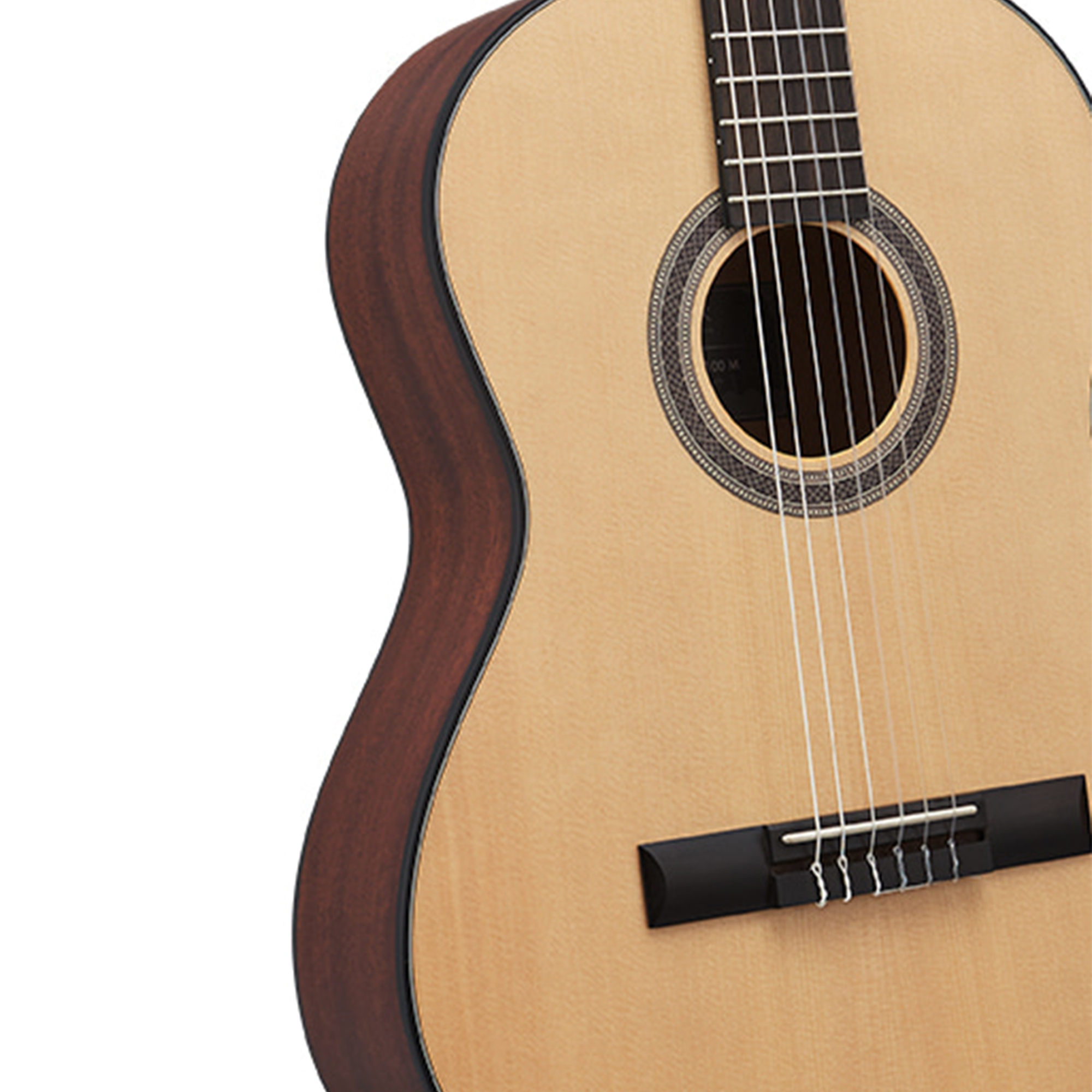 HEX C100M 39 CLASSICAL Guitar POLLEN SERIES