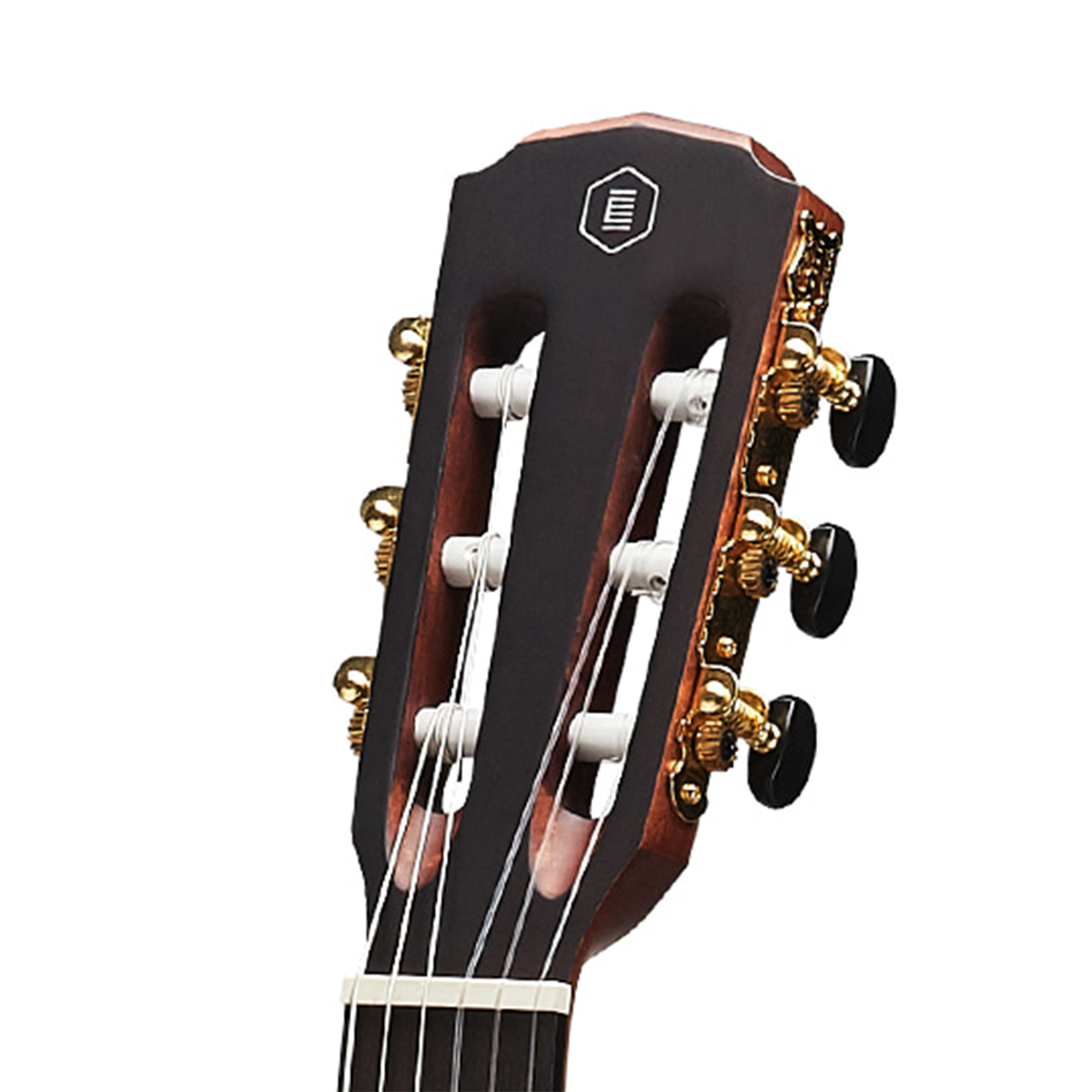 HEX C100M 39 CLASSICAL Guitar POLLEN SERIES