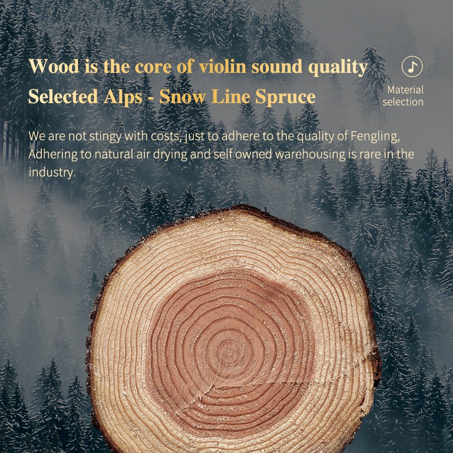 Fine Legend MV300 European Solid Spruce Top Solid Flame Maple back  sides