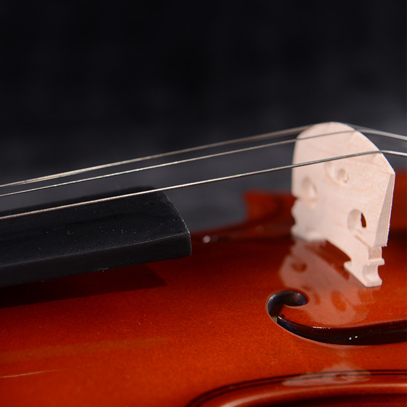 Fine Legend Laminated Violin MV012L
