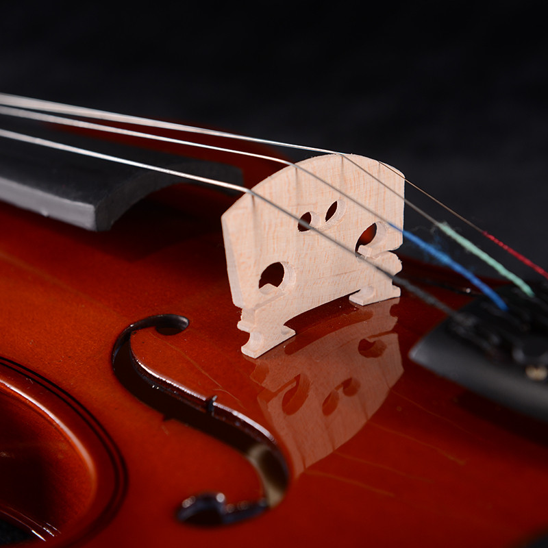 Fine Legend Laminated Violin MV012L