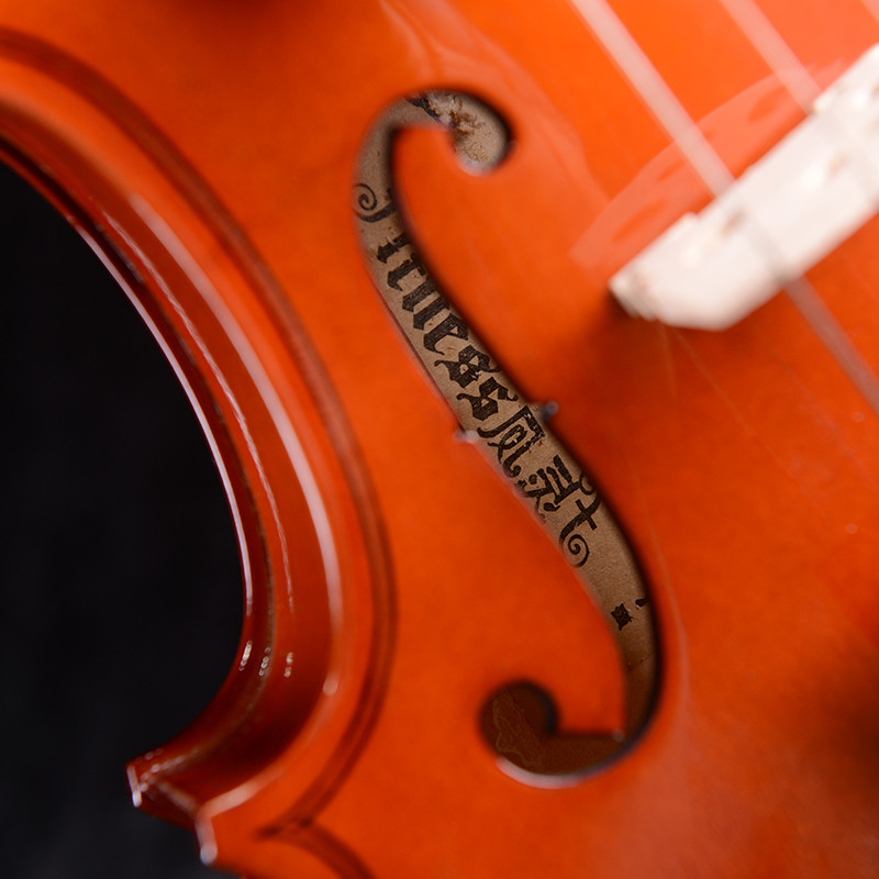 Fine Legend Laminated Violin MV012L