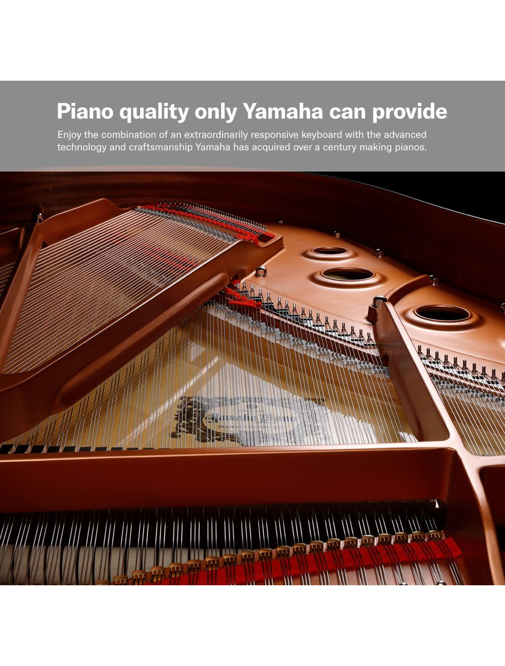 Yamaha P-125AB Digital Piano With 88 Keys Portable Digital Piano Adaptor Included