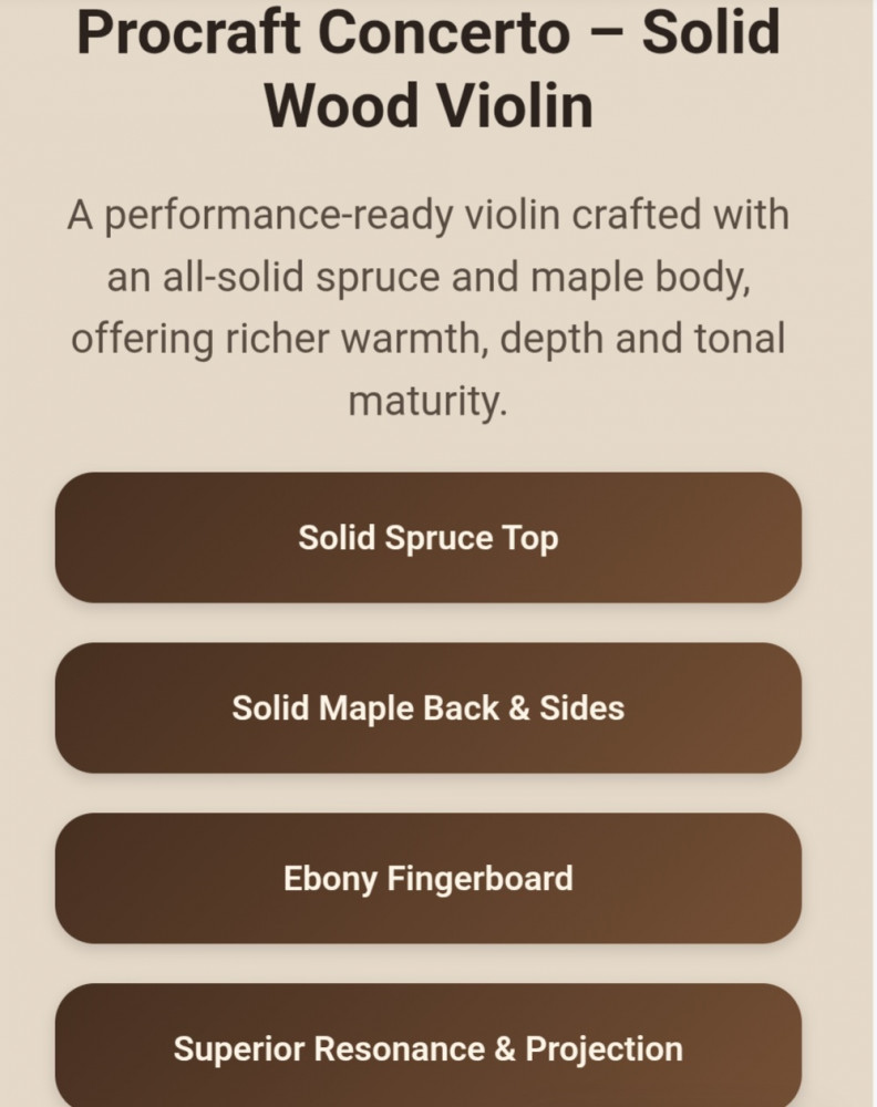 Image of Procraft Concerto - Solid wood violin