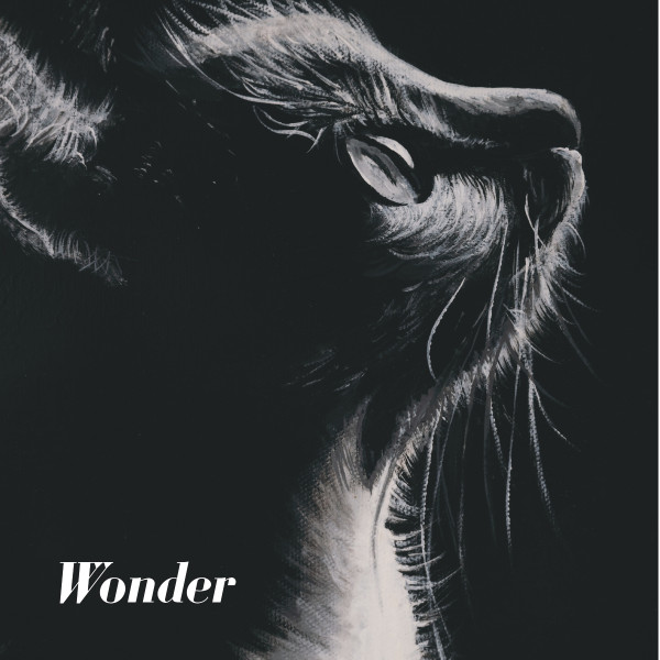 Wonder