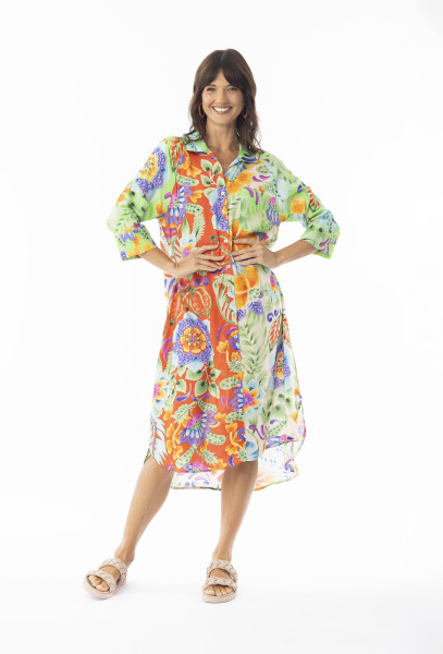 Sofia Dress Collar Buttonthrough Print