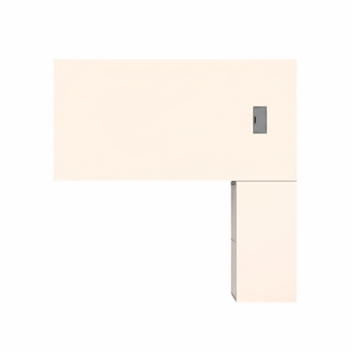 CANVAS EX