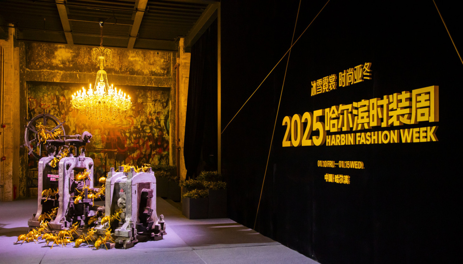 A new chapter of ice and snow fashion begins!