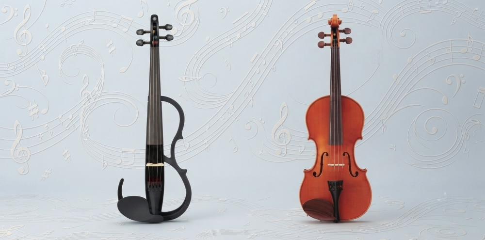Violin