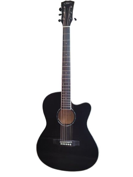 Techno Guitar TM-39CEG TBK with Padded Bag black