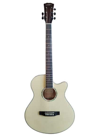 Techno Guitar TM-40CG Natural with Padded Bag white
