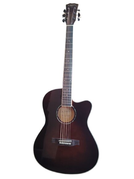 Techno Guitar TM-39CG TCS with Padded Bag sunbrust