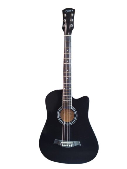 Techno Semi - Acoustic Guitar TRC38CG with Padded Bag Black