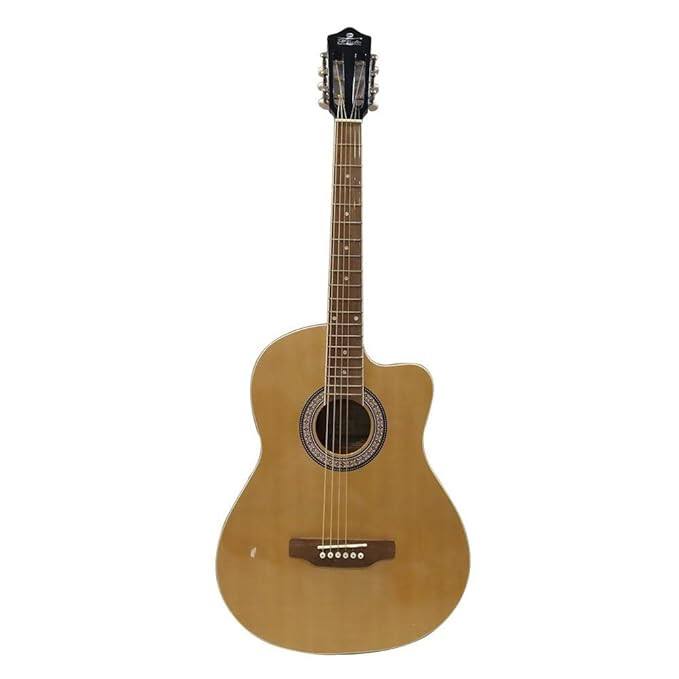 Pluto PA39C-201 Acoustic Guitar NT