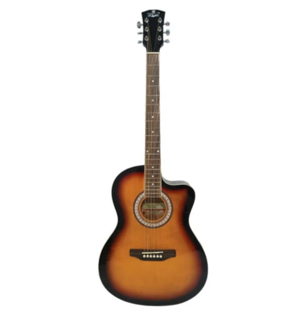 Pluto PA39C-201 Acoustic Guitar TBS