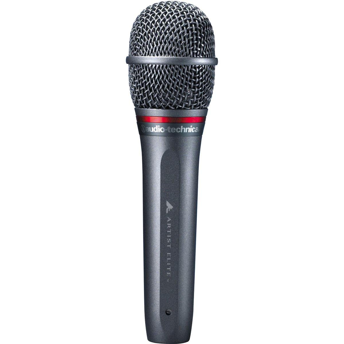 Audio-Technica AE6100 Hypercardioid Dynamic Microphone