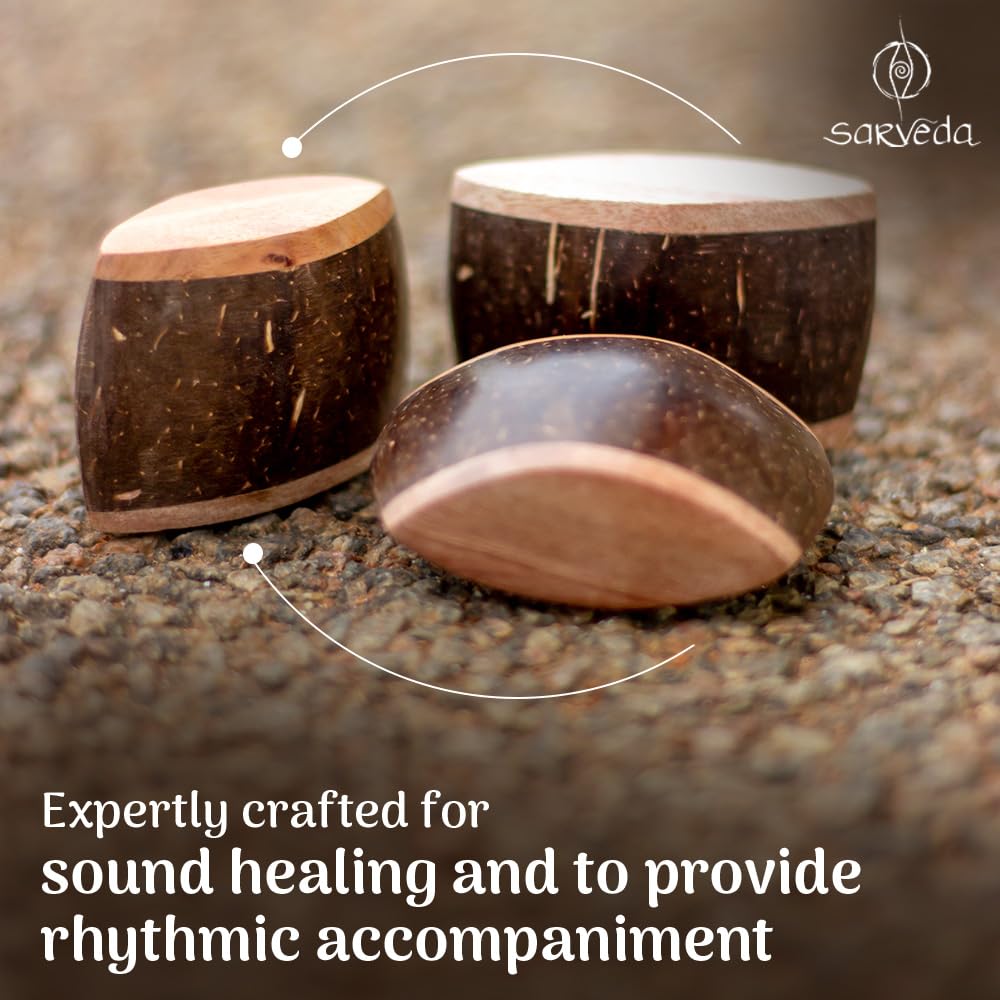 Eye Shaped Mini Coconut Shaker Percussion Pack of 2 Eye Coco Shaker