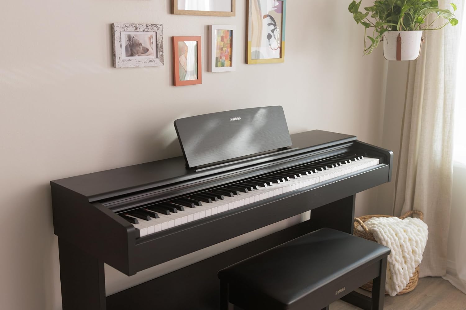 YAMAHA YDP105R Piano 88 Keys With Bench Dark Rosewood
