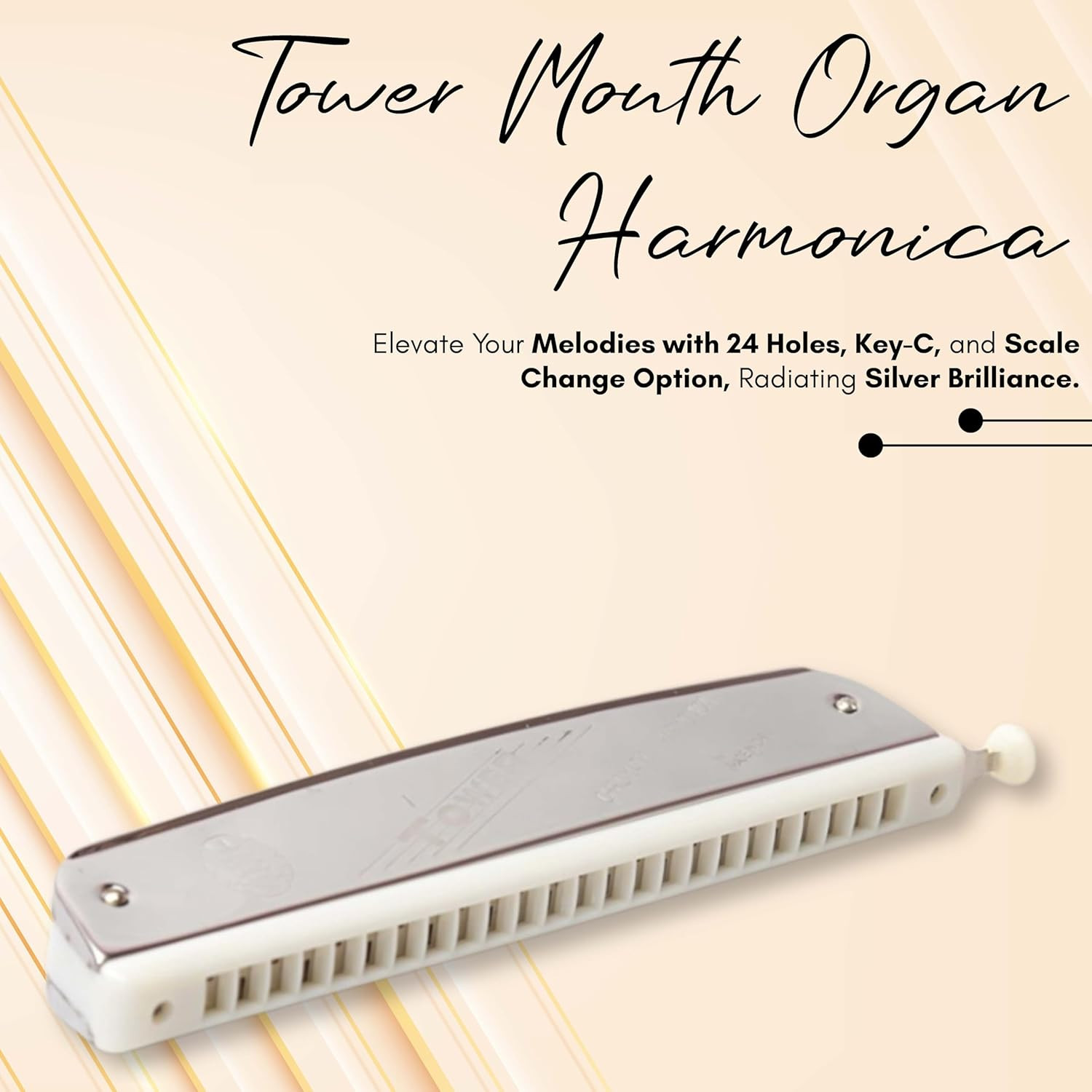 Tower Chromatic Mouth Organ Harmonica 24 Holes Key-C With Scale Change Option