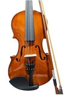Dolphin Violin IN- DV001 44